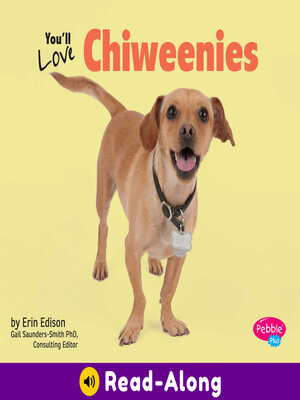 cover image of You'll Love Chiweenies